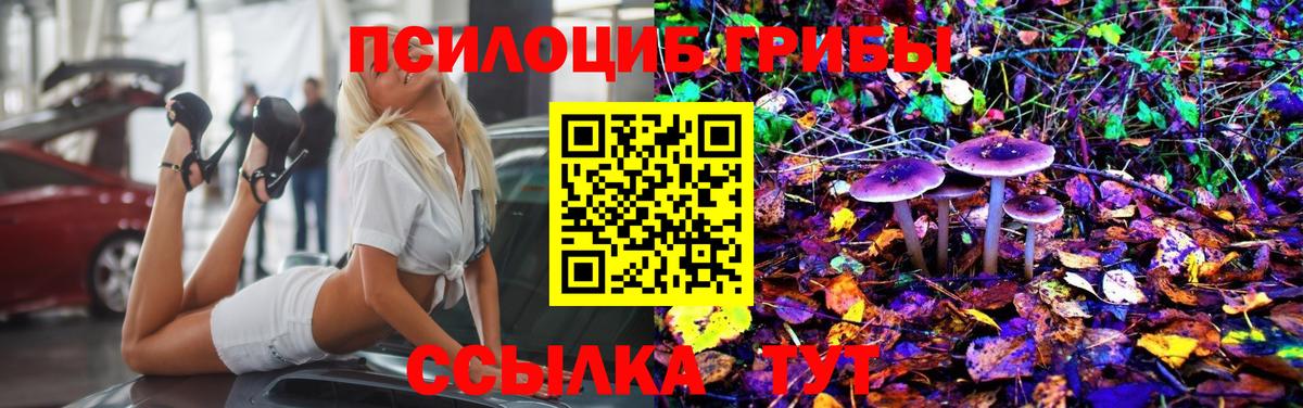 Псилоцибиновые грибы Psilocybine cubensis Кинешма