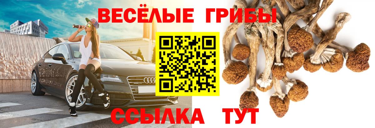Псилоцибиновые грибы GOLDEN TEACHER  Вход с VPN  Кинешма  Галлюциногенные грибы Psilocybine cubensis 
